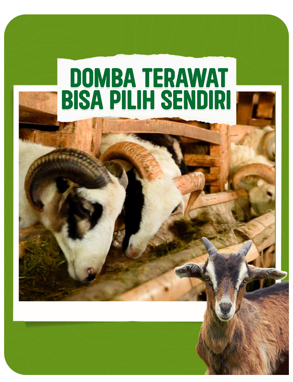 Aqiqah Bandung dengan Harga Promo Spesial