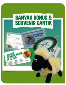 Aqiqah Bandung Harga Mulai Ekonomis