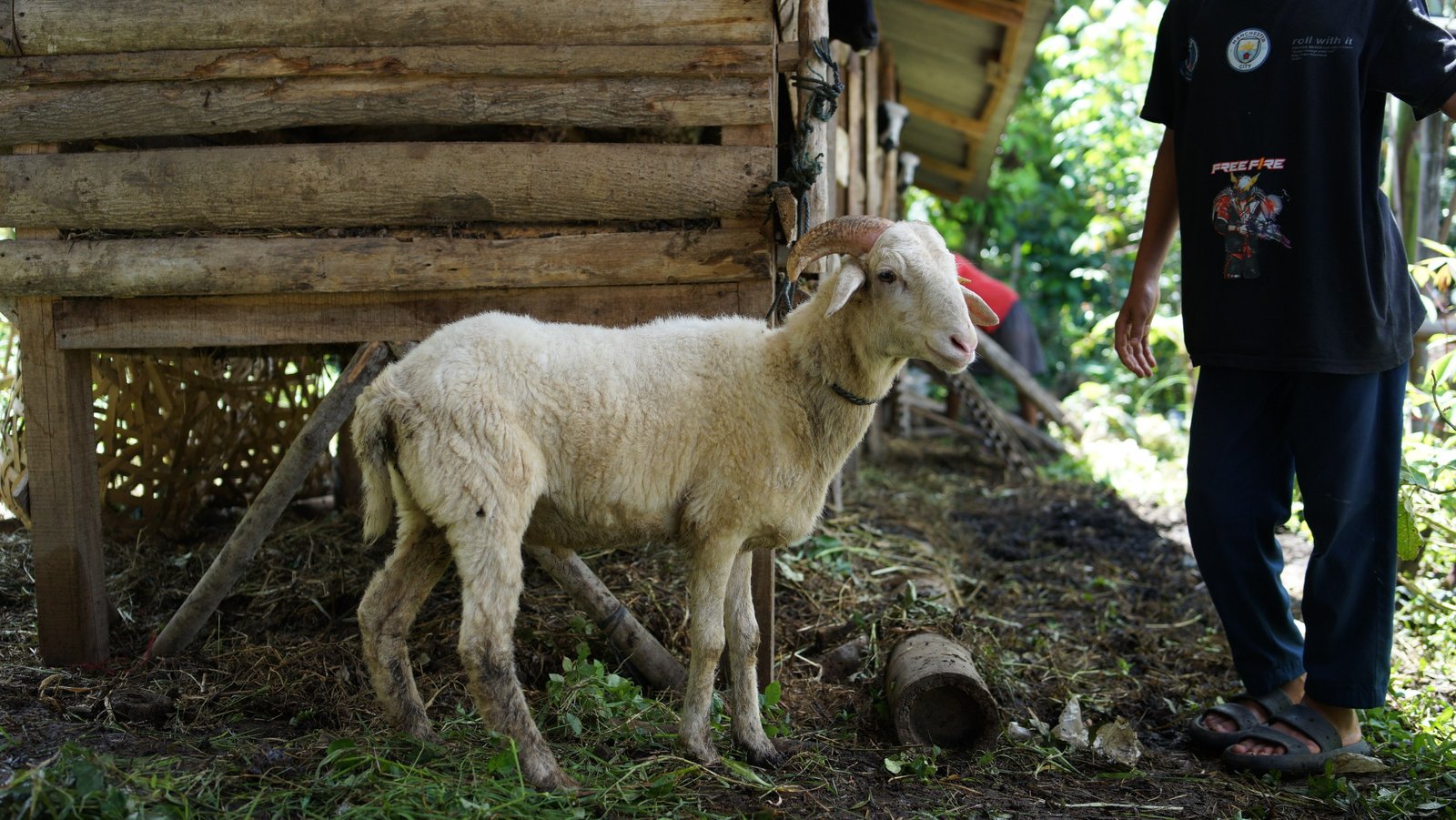 Aqiqah Cileunyi Bandung Jawa Barat