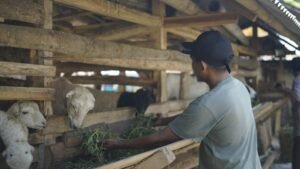 Aqiqah Bandung Jawa Barat Pilihan 2026